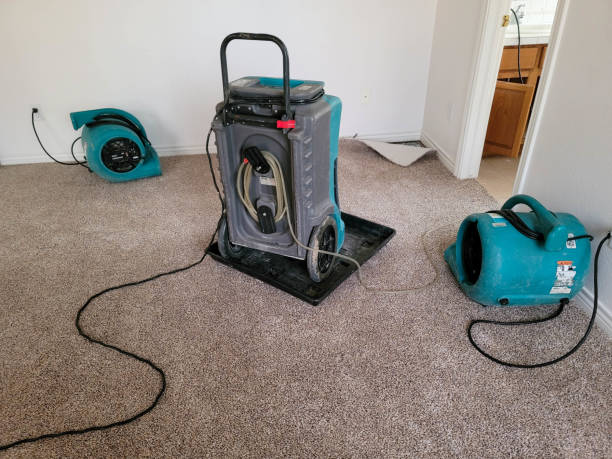 Best Water damage restoration process  in Henry, IL