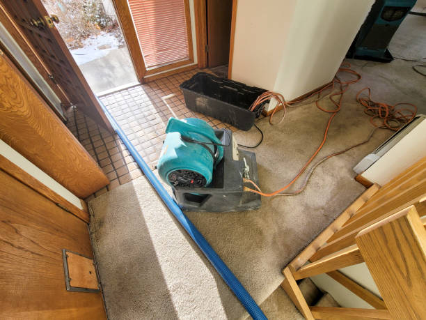 Best 24-hour water damage restoration  in Henry, IL