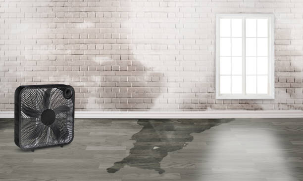 Best Ceiling water damage repair  in Henry, IL