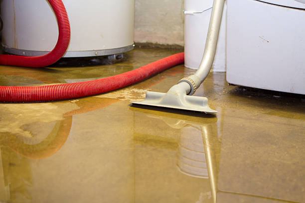 Best Carpet water damage restoration  in Henry, IL