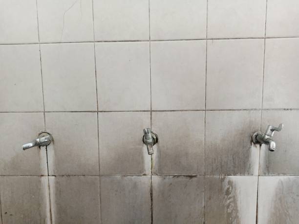 Best Flooded house restoration  in Henry, IL