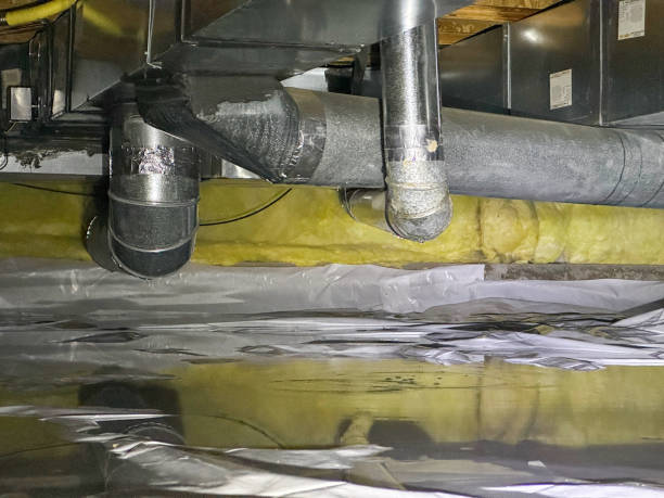 Best Basement water damage restoration  in Henry, IL