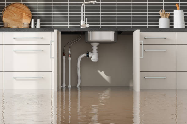 Best Water damage restoration cost  in Henry, IL