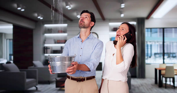 Best Water damage restoration near me  in Henry, IL