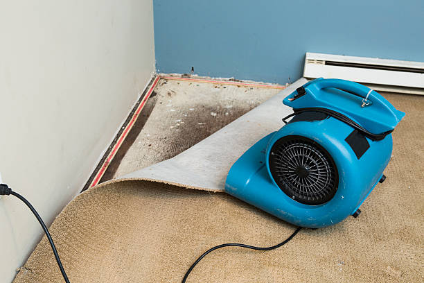 Best Basement water damage restoration  in Henry, IL
